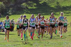 Girls Under-14s, 2026 NEHL, Thornley Hall Farm, Peterlee, County Durham. Photo: David T. Hewitson/Sports for All Pics